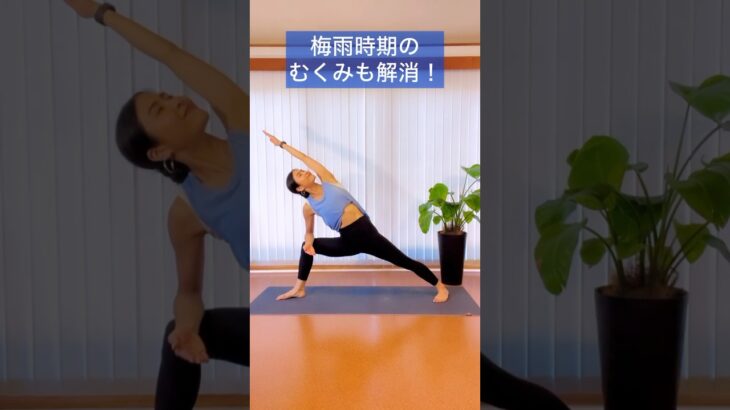 【夏に向けてボディメイク】代謝アップ！脂肪燃焼ヨガ #脂肪燃焼 #代謝アップ #ボディメイク #ボディメイクヨガ #ヨガ #引き締め #下半身痩せ #足痩せ #足痩せヨガ #yuiinnami