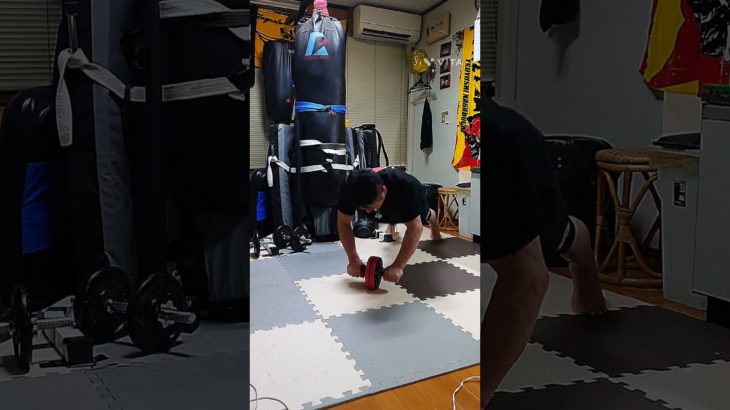 アブローラーと三頭筋トレ。#アブローラー #三頭筋 #宅トレ動画