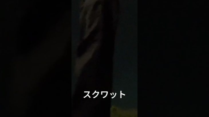 夜の公園で筋トレする無職#ガリガリ #筋トレ #筋トレ男子 #家トレ