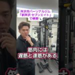 筋肉の種類　遅筋と速筋がある。筋トレはどちらでしょう？　新所沢のパーソナルトレーニングジム #パーソナルトレーニング