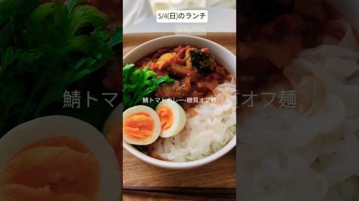5/4(日)のランチ 48.1kg27.4%　#shorts #ダイエット