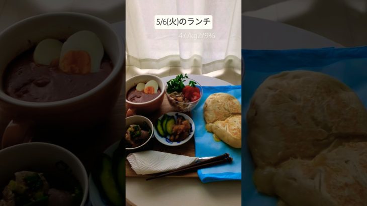 5/6(火)のランチ 47.7kg27.9%　#shorts #ダイエット