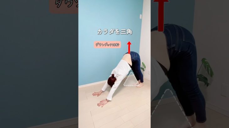 【脚痩せ】お尻からふくらはぎまでコレでOK✨#ダイエット#shorts #脚やせ #ヒップアップ #宅トレ #お腹痩せ #むくみ解消 #冷え性改善 #アラフォーダイエット