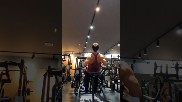 ハンマーアイソロウ#shortos #筋トレ