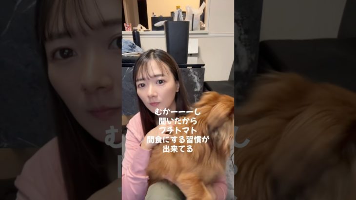 【ダイエット】オタク／トレーナー/間食