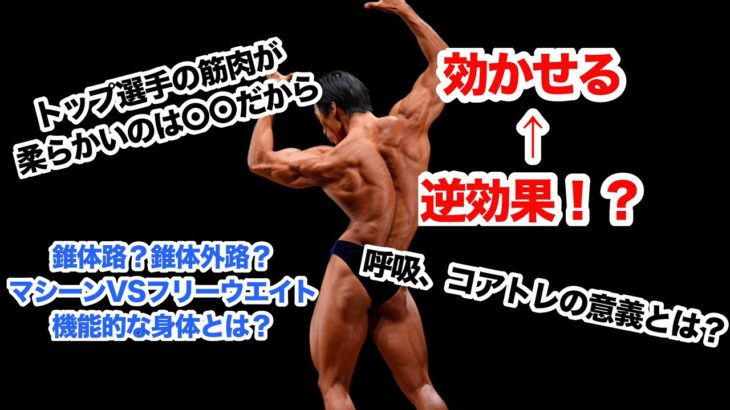 目から鱗⁉️ボディメイクの考え方‼️