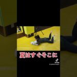 #ピットブル阿佐ヶ谷ジム #阿佐ヶ谷 #キックボクシング #ジム #ボディメイク #ダイエット #初心者歓迎 #体験無料 #高円寺 #荻窪 #鷺ノ宮 #杉並区