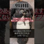 【100日チャレンジ】#shorts #筋トレ #ボディメイク #ダイエット #減量 #芸人 #100日企画 #腹筋