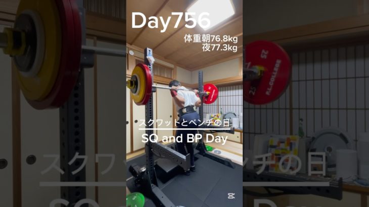 【筋トレ756日目】スクベンチの日#筋トレ#トレーニング#gym#パワーリフティング #muscle #big3 #squat #sports #ベンチプレス #富山 #スクワット #肩トレ