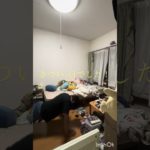 筋トレ生活172日目 #筋トレ #筋トレ生活 ＃腕立て伏せ＃172日目