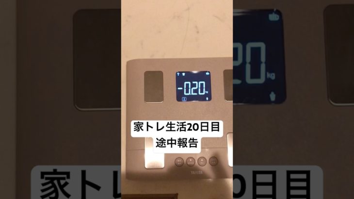 【20日目】100日後家トレでかっこいい身体になるSE#100日企画 #筋トレ #暮らしチャンネル #家トレ #継続力 #ダイエット #ボディメイク #彼女にモテたい