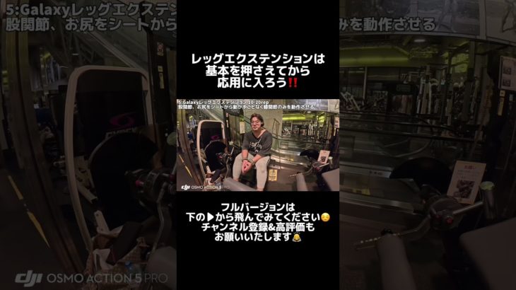 レッグエクステンションの基本📚✍️ #筋トレ #脚トレ