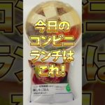 【29日目】100日ダイエットチャレンジ＠管理栄養士YURI