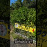 #延岡ジム #延岡トレーニングクラブ #筋トレ #ボディメイク #ボディビル