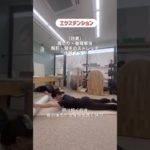 エクステンション #ダイエット #ボディメイク #姿勢改善 #ストレッチ #ストレッチポール