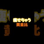 【ダイエット】今日は痩せちゃう鍋レシピ第1弾！！#ダイエット　#脂肪燃焼　　#痩せる　#健康　#痩せる方法   #食事管理　#食べて痩せる　#shorts